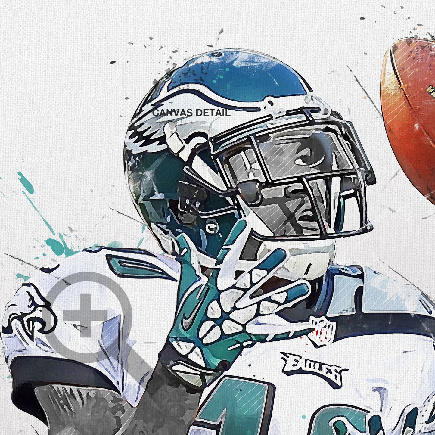 Desean Jackson Eagles