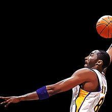 Load image into Gallery viewer, Fly Kobe
